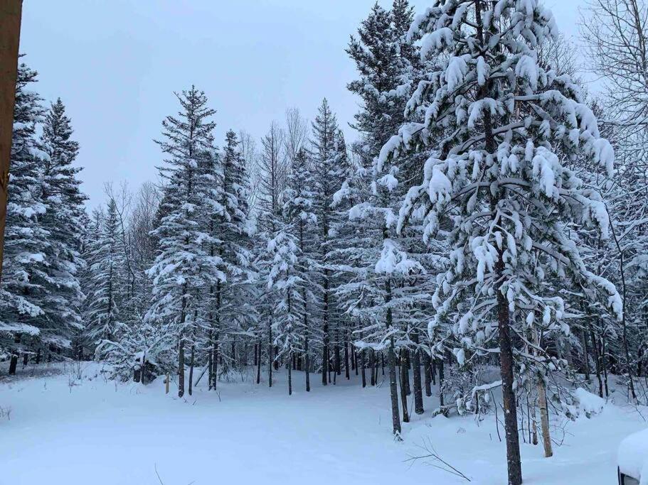 Appartement Mont Edouard, Hebergement Paisible A La Montagne LʼAnse-Saint-Jean Esterno foto