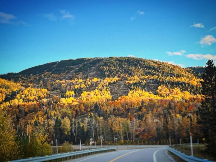 Appartement Mont Edouard, Hebergement Paisible A La Montagne LʼAnse-Saint-Jean Esterno foto