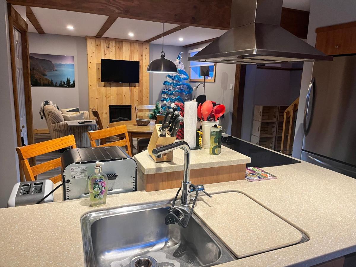 Appartement Mont Edouard, Hebergement Paisible A La Montagne LʼAnse-Saint-Jean Esterno foto