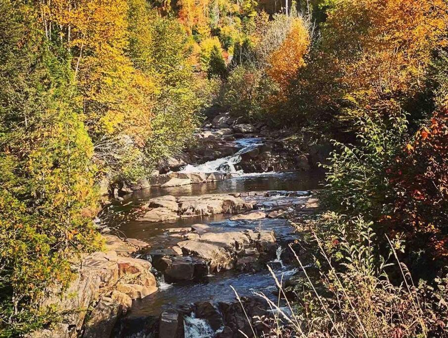 Appartement Mont Edouard, Hebergement Paisible A La Montagne LʼAnse-Saint-Jean Esterno foto