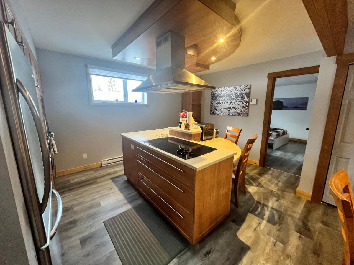 Appartement Mont Edouard, Hebergement Paisible A La Montagne LʼAnse-Saint-Jean Esterno foto