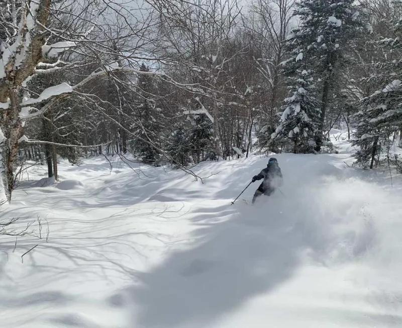 Appartement Mont Edouard, Hebergement Paisible A La Montagne LʼAnse-Saint-Jean Esterno foto
